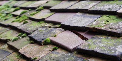 Rhosgoch roof repair costs